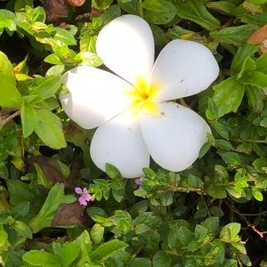 Meet your Posher, Alison